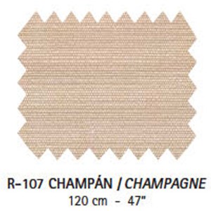 R-107 Champán